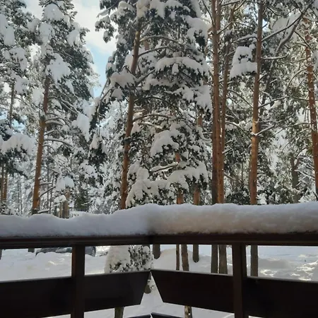 Anuska - Pekovic Apartment Zlatibor