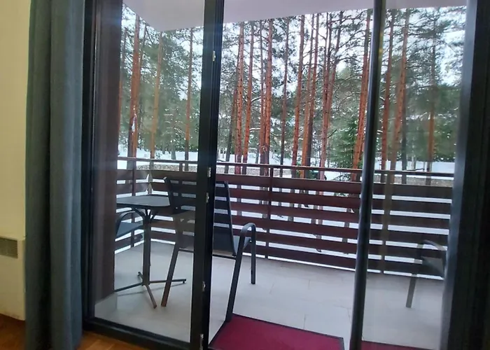 Balkan Hill 1- Anuska * Zlatibor